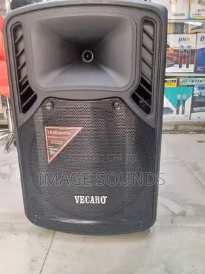 Powered Speaker 15inch With 2 Wireless Microphones ( Bns30)