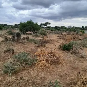 Land in Kajiado