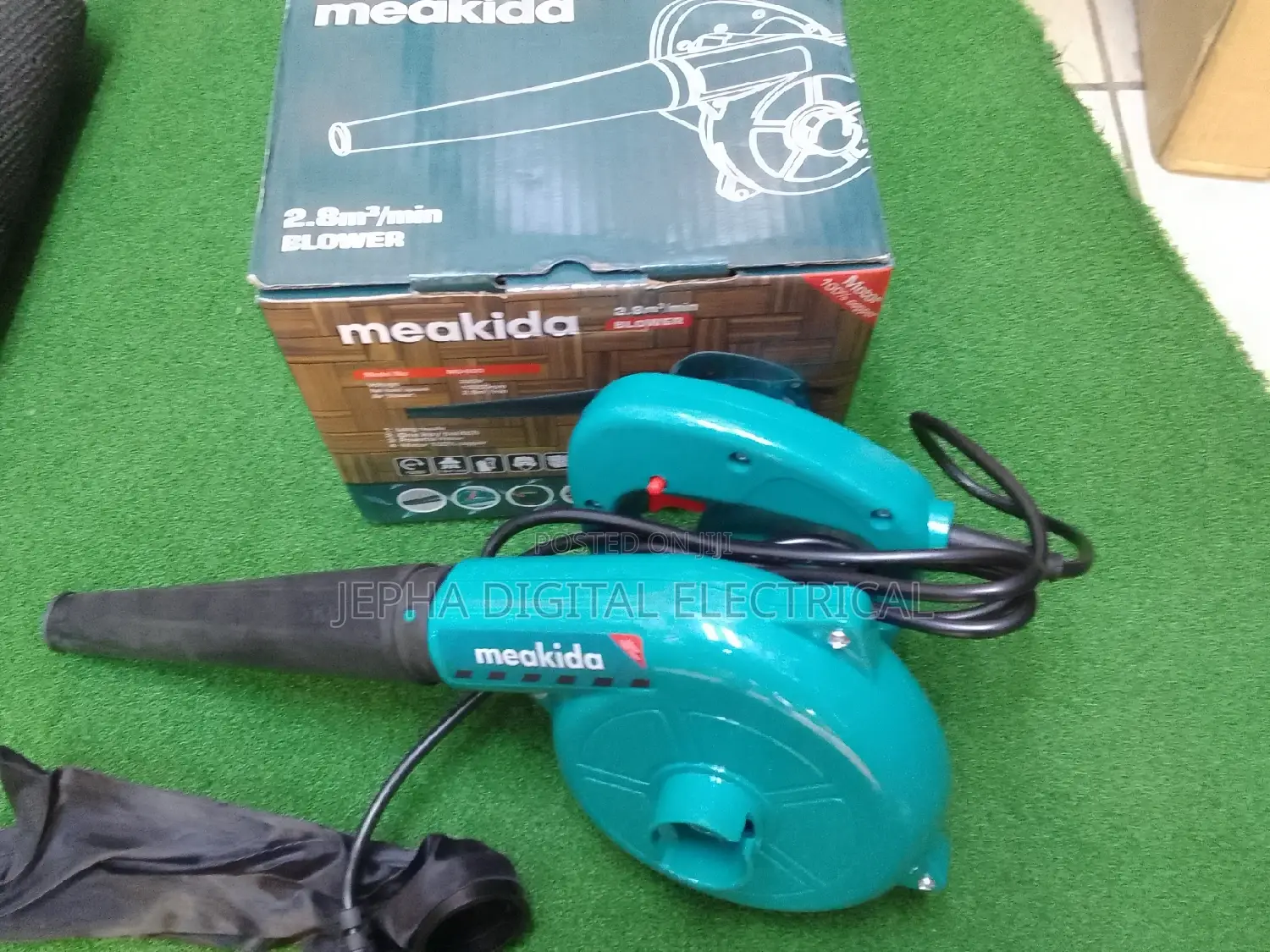 Professional Dust Blower
