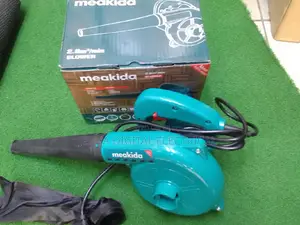 Professional Dust Blower