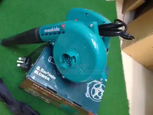 Professional Dust Blower