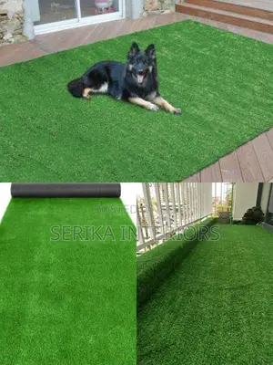 Pet Friendly Grass Carpets Grass Carpets Grass Carpets