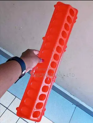 Automatic Chick Feeders
