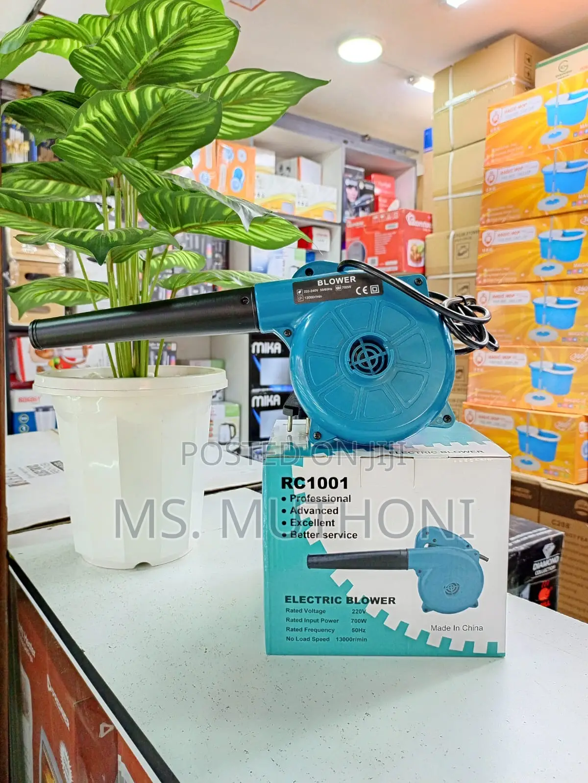 Electric Dust Blower