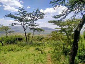 14 Acre Piece of Land in Kiserian, Kona Baridi Near Tarmac