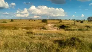 15 Acres for Sale Isinya