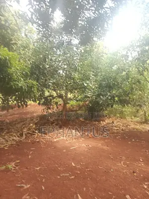 2 Acres for Sale in Kenyatta Road Kimunyu Area