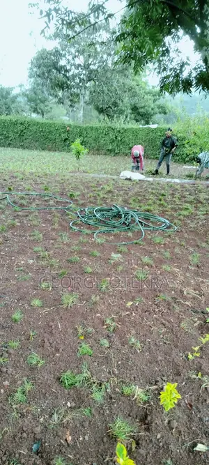 Landscaping Service
