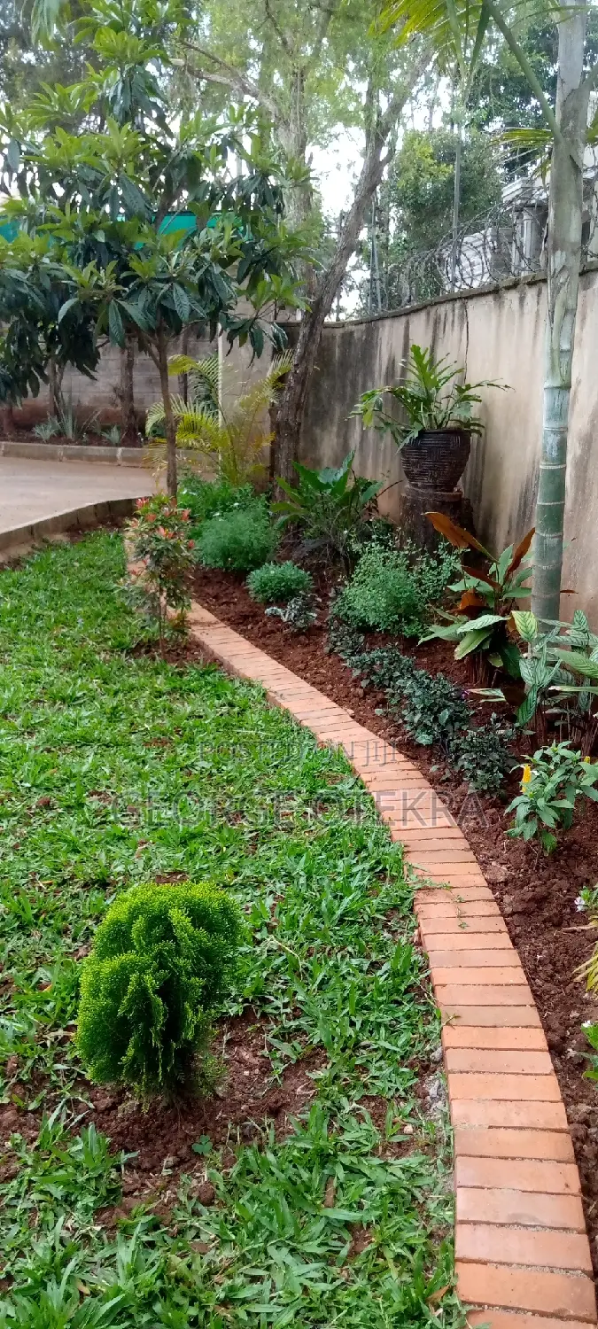 Landscaping Service
