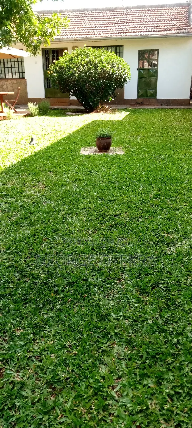 Landscaping Service
