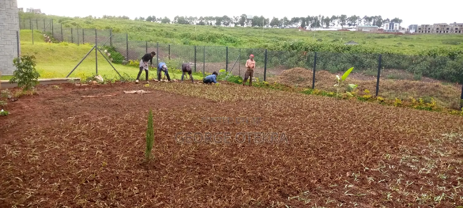 Landscaping Service