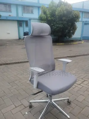 Executive Imported Morden Orthopedic Officer Chair