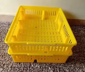 Plastic Stackable Chicks Transport Crates 60chicks.