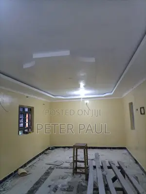Gypsum Installation and Wall Painting