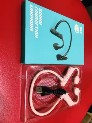On-Ear Earphones. 