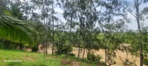 Mtwapa Aloo Drive,10 Acre Creek Beach Plot for Sale