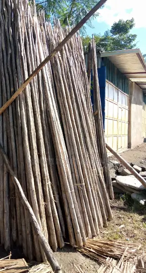 Sisal Poles for Sale at Ukunda