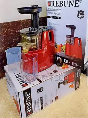 Rebune Slow Juicer (DC )