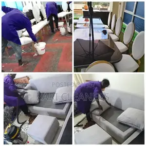 Clean Sofa Is Healthier Home