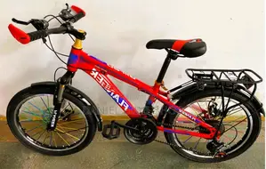 Flanger Size 20 Mountain Bicycle With Gear (Red)