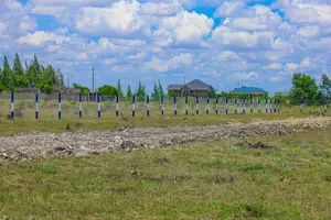 Affordable Plots in Katani ^SM