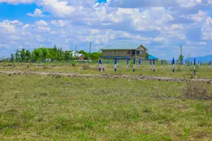 Cheap Katani Plots ^SM