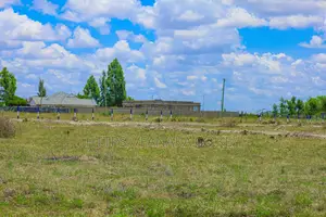 Katani Plots Touching the Main Road at 1.6M^JO
