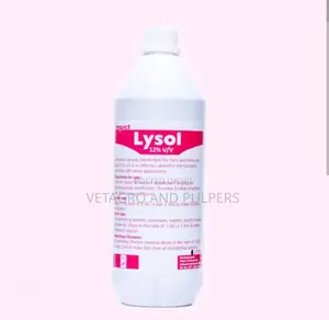 Lysol Disinfectant 12% Solution