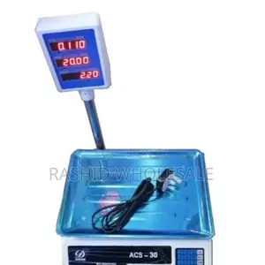 Electric Scale