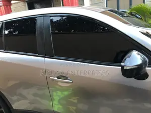 Professional Llumar / 3M Tint Film