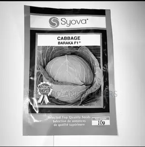 Cabbage Baraka F1 Seeds