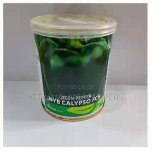 Continental Green Pepper HYB Calypso FCS (Pilipili Hoho)