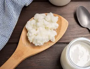 Kefir Milk and Grains