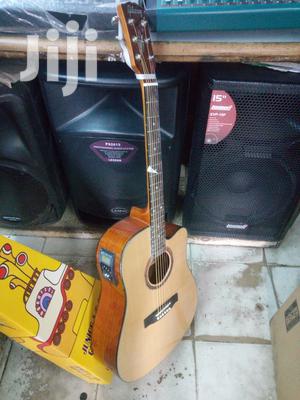 Semi Acoustic Guitarr