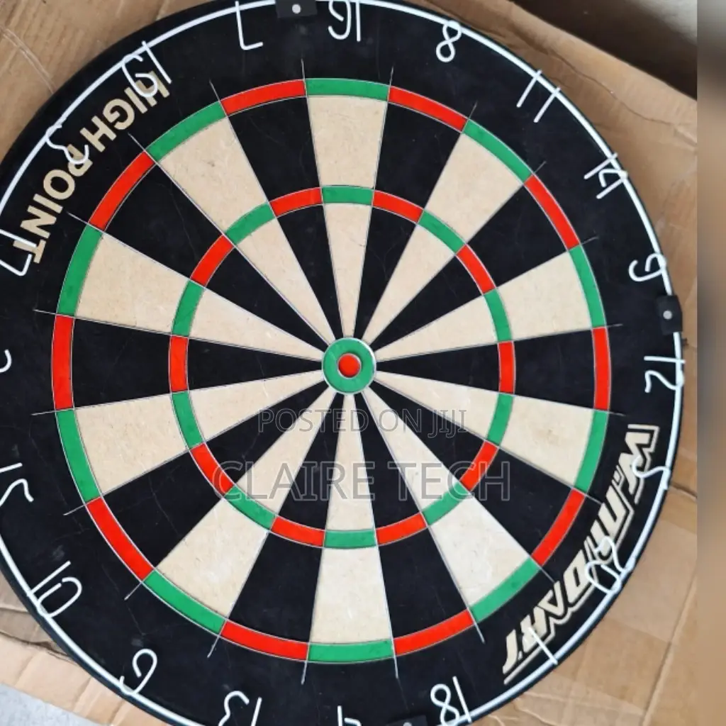 Professional Dart Board