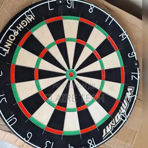 Professional Dart Board
