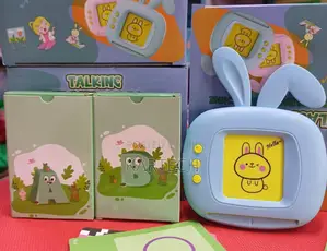 Educational Talking Flashcard Card