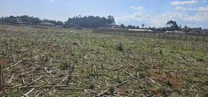 Prime Plots for Sale Eldoret Opposite New MTRH in Kiplombe