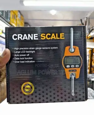 Professional Crane Scale 300kgs