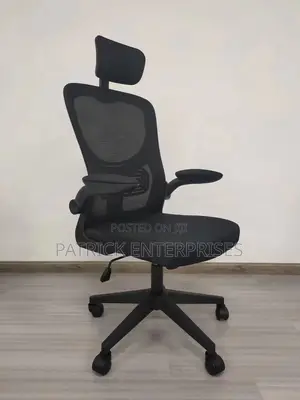 Ergonomic Office Chair