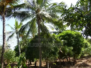3 Acre Freehold Land for Sale on Mtwapa Creek