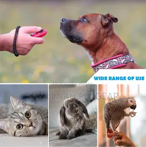 Pet Training Clicker for Cats Puppy Birds Horses