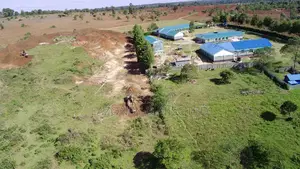 Drone Services