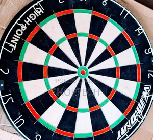Professional Dart Board