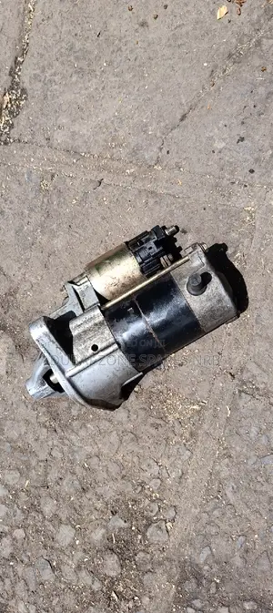 Premio Nyoka, Carina, Caldina 5a,7a Starter Available.