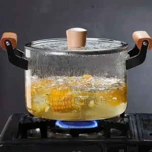 5.5 Borosilicate Glass Cooking Pot