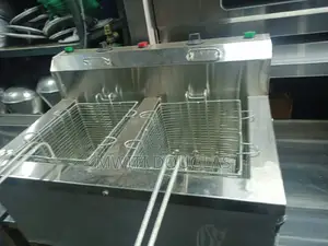 Electric Double Deep Fryer