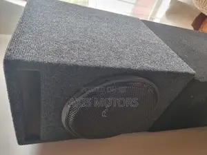 Pioneer Speaker