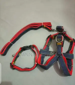 Denim Dog Leash, Collar and Harness Adjustable Set -