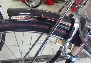 Neelam Original Adult Bicycle Size 26